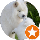 Sammy profile picture